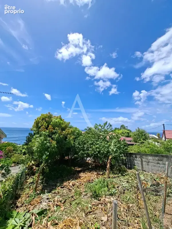 Photo Terrain à Saint-Pierre au prix de 65 000€