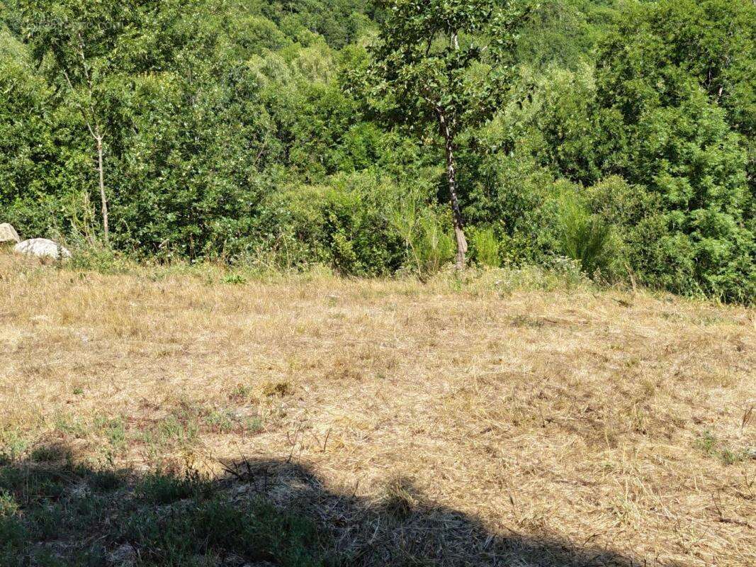 Terrain 1000 m² à Ax-Les-Thermes  - photo 2