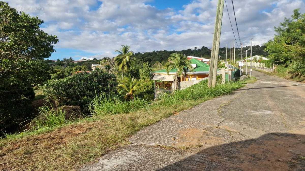 Terrain à RIVIERE-SALEE