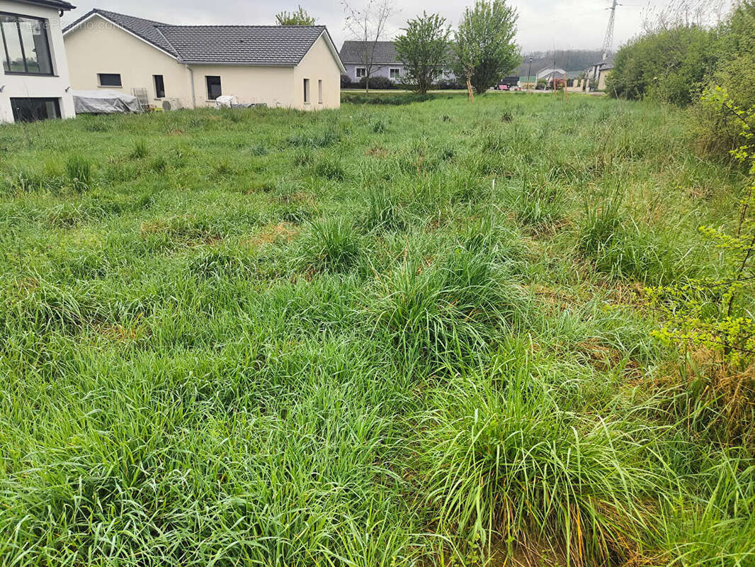 Terrain à SOMMERVILLER