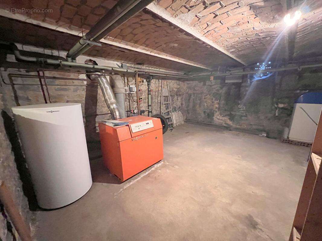 Maison de ville Le Mans 9 pièce(s) 300m² avec jardin Hôtel particulier 19e - photo 12