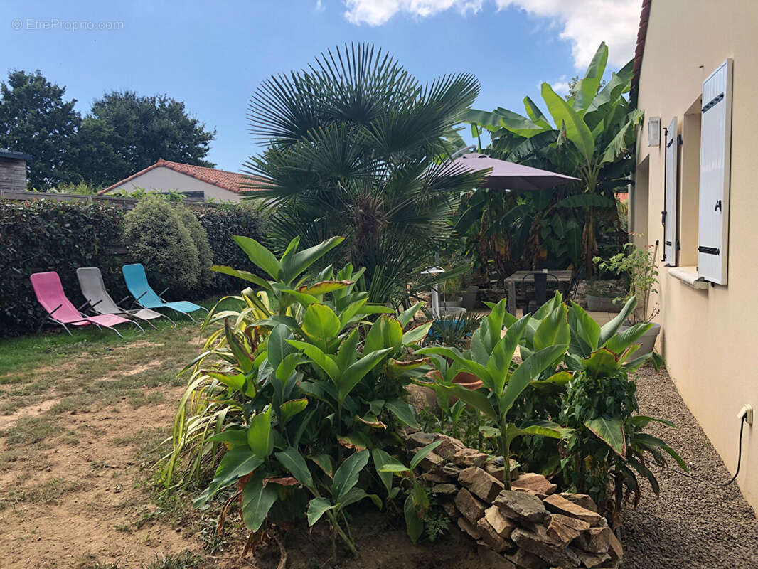 Maison à SAINTE-FOY