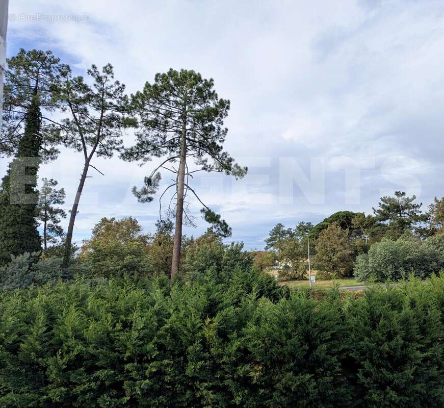 PXL_20251107_130732989 - Appartement à PARENTIS-EN-BORN