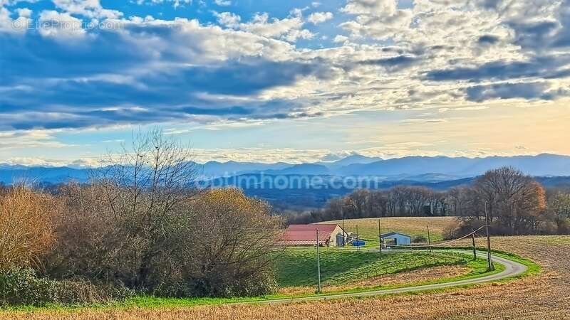 Terrain à SAUVETERRE-DE-BEARN