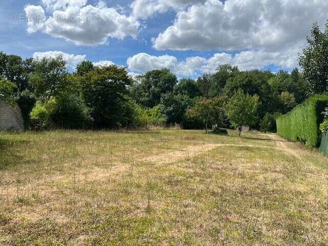 Terrain à COGNAC