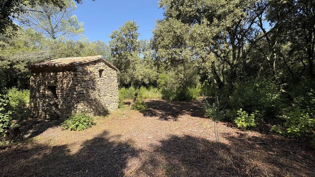 Terrain de 2 695 m² - photo 4
