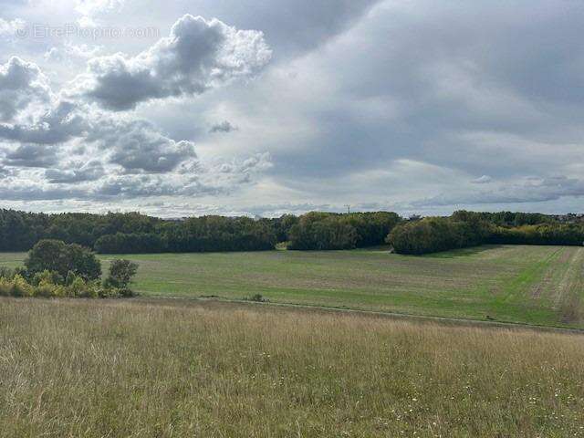Autre à SAINT-GEORGES-LES-BAILLARGEAUX