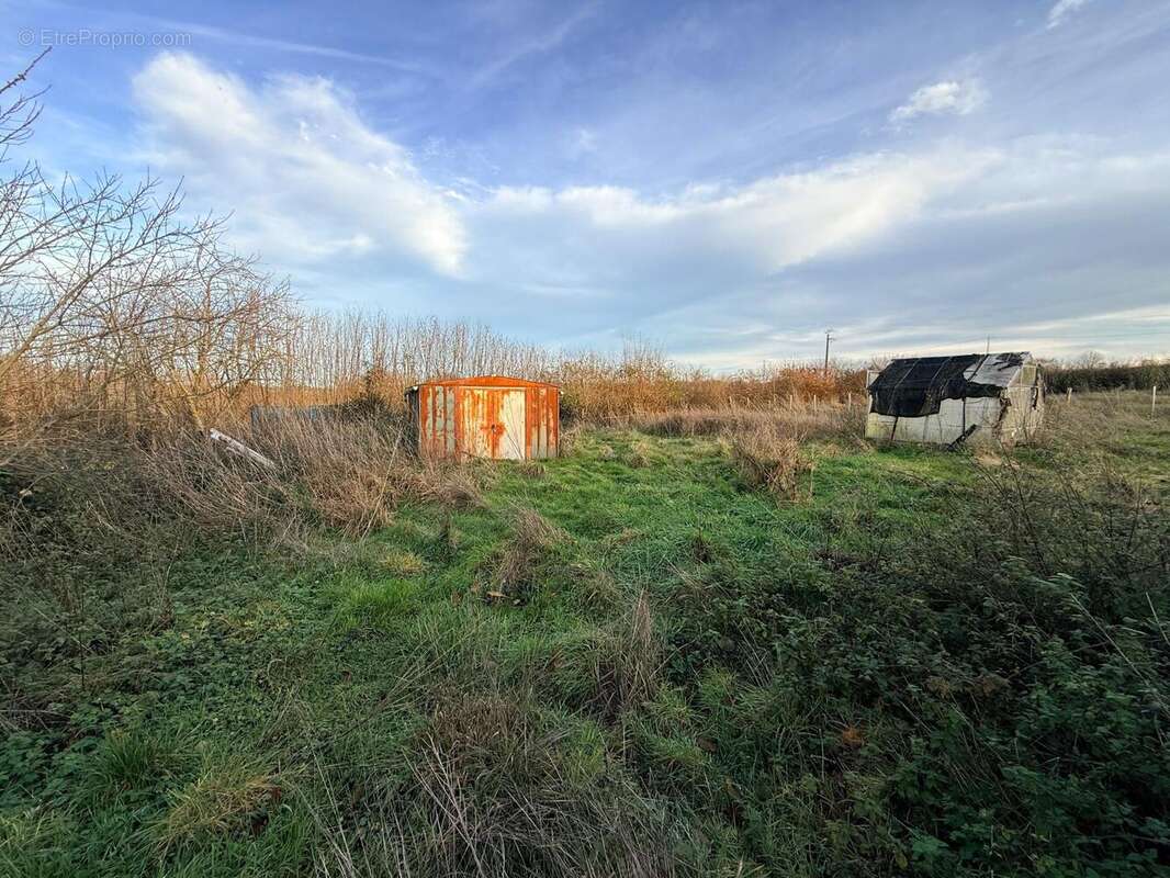 Photo 3 - Terrain à MONCOUTANT