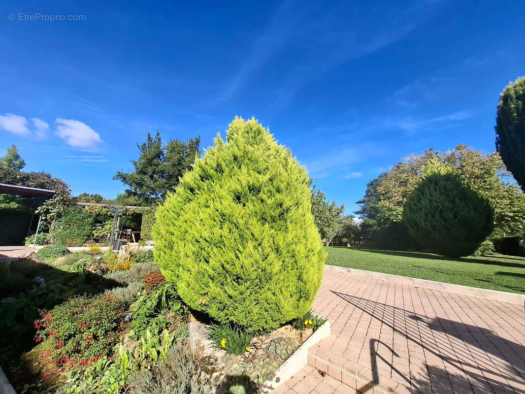 Maison à MONTMIRAIL