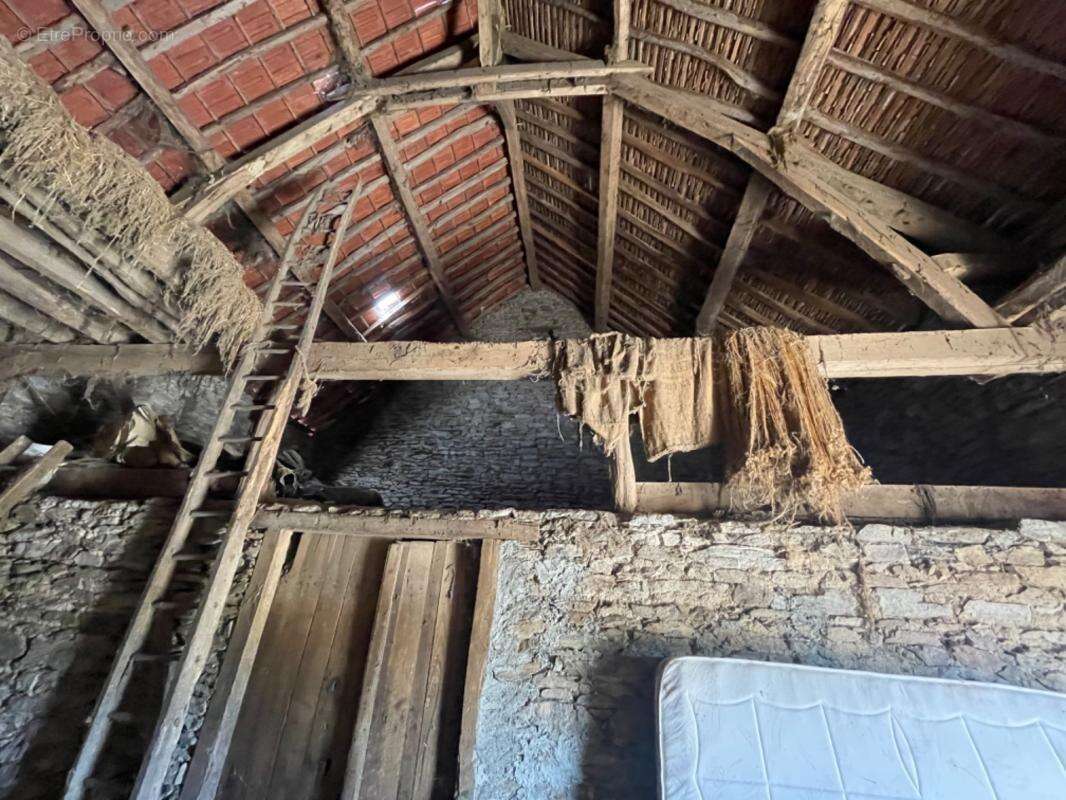 Ancienne ferme lourdoueix saint pierre (23) - photo 23