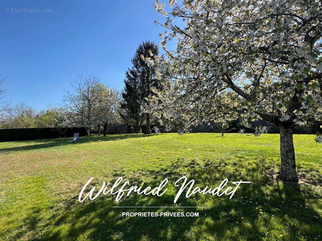 Terrain à PARIGNE-L&#039;EVEQUE