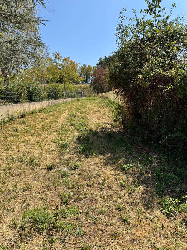 Terrain commelle vernay - photo 2
