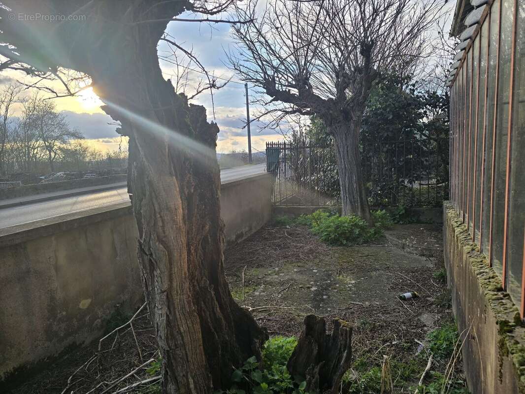 Commerce à GUEREINS