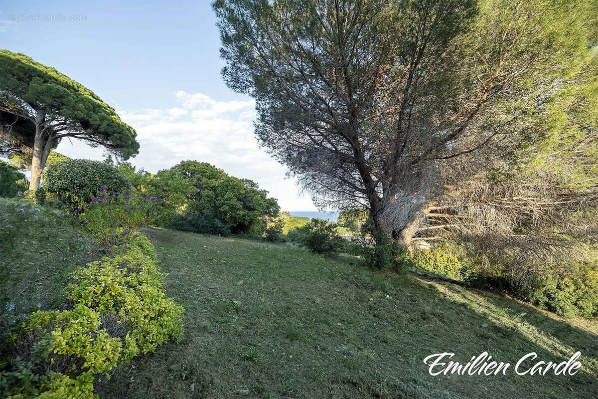 Terrain à SAINTE-MAXIME