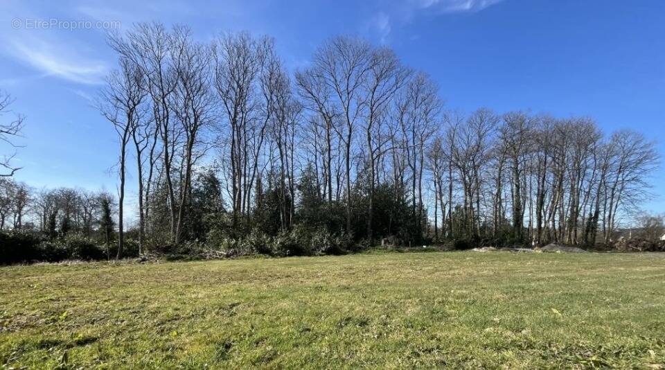 Terrain à LA FRENAYE