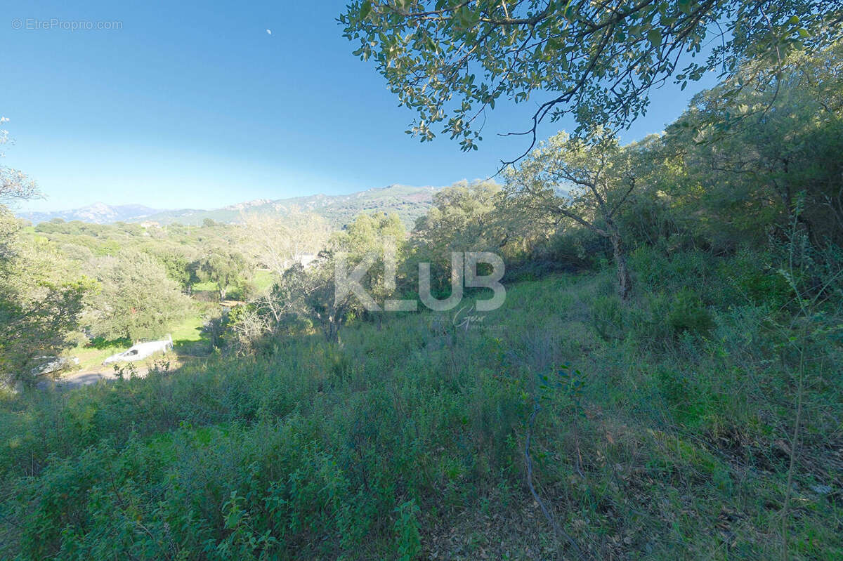 Terrain à CUTTOLI-CORTICCHIATO
