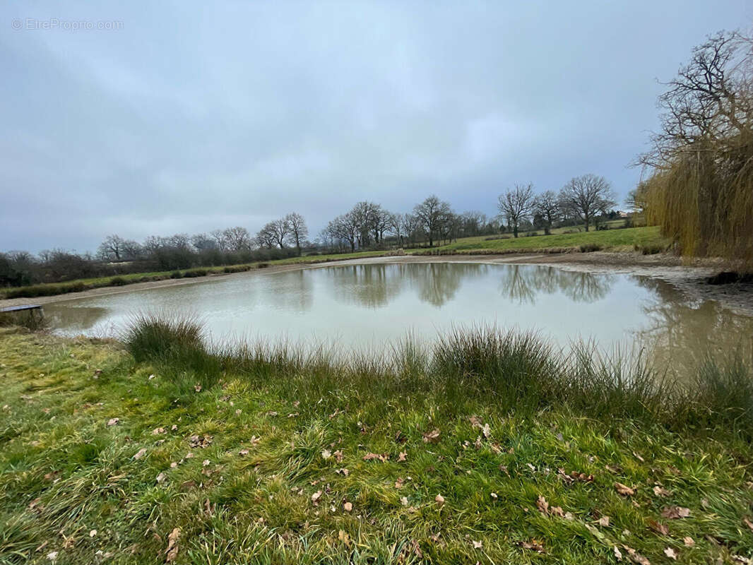 Terrain + etang plaisance - photo 2