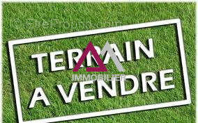 Terrain à SAINT-PIERRE