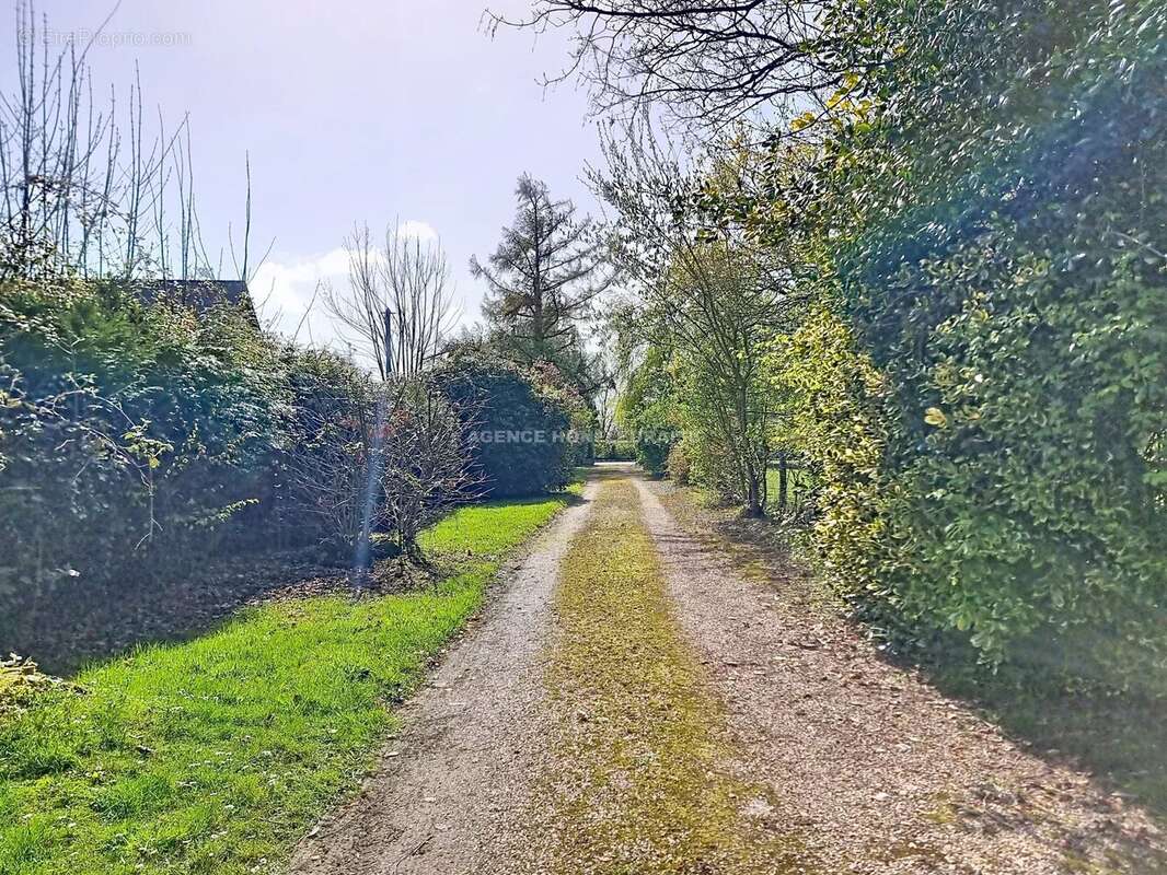 Petite maison de maître - photo 18