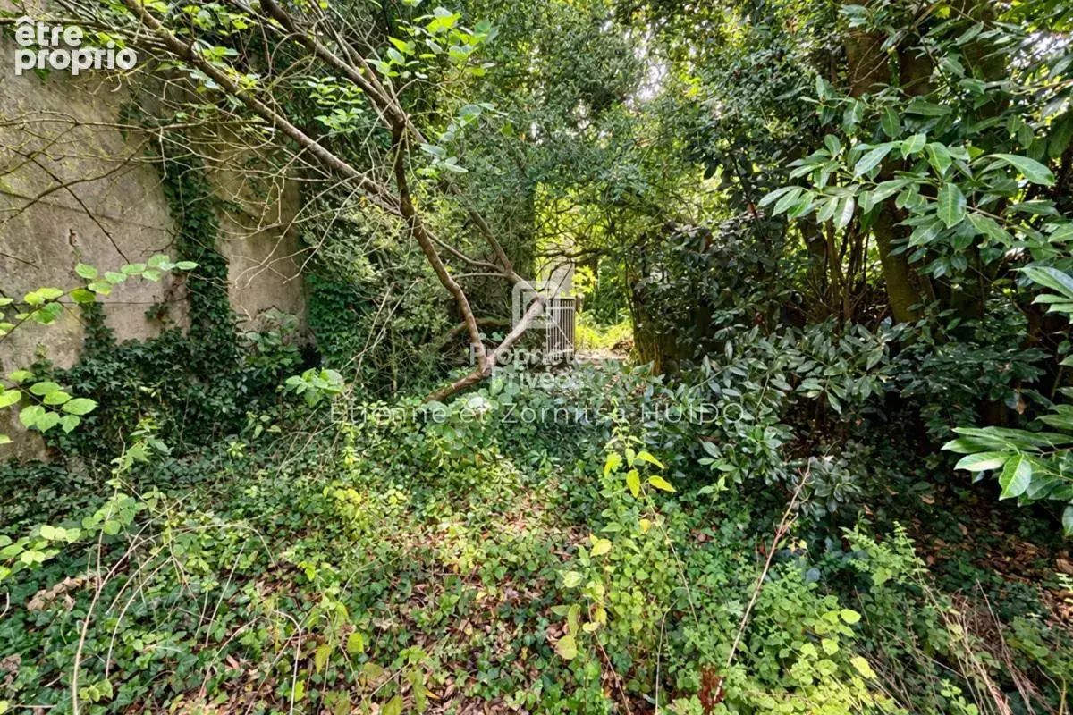 Exclusivité - Immeuble Chatillon Sur Indre 9 pièce(s) 238 m2 - photo 18