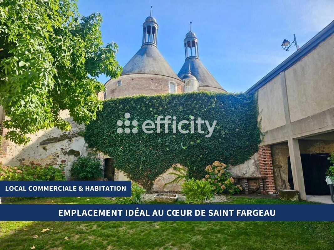 Maison à SAINT-FARGEAU