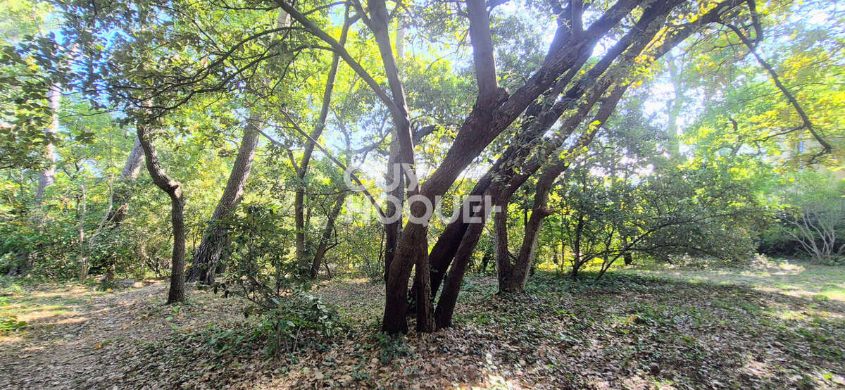 Maison à BOUC-BEL-AIR