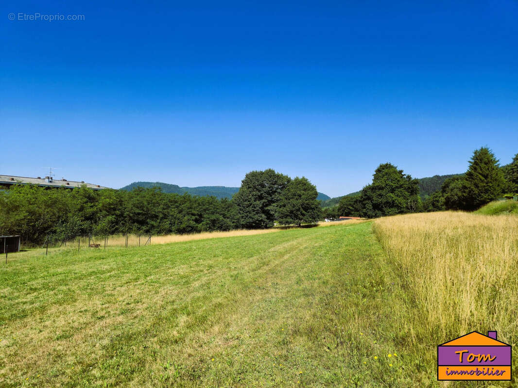 Terrain 3325 m² à Moyenmoutier  - photo 5