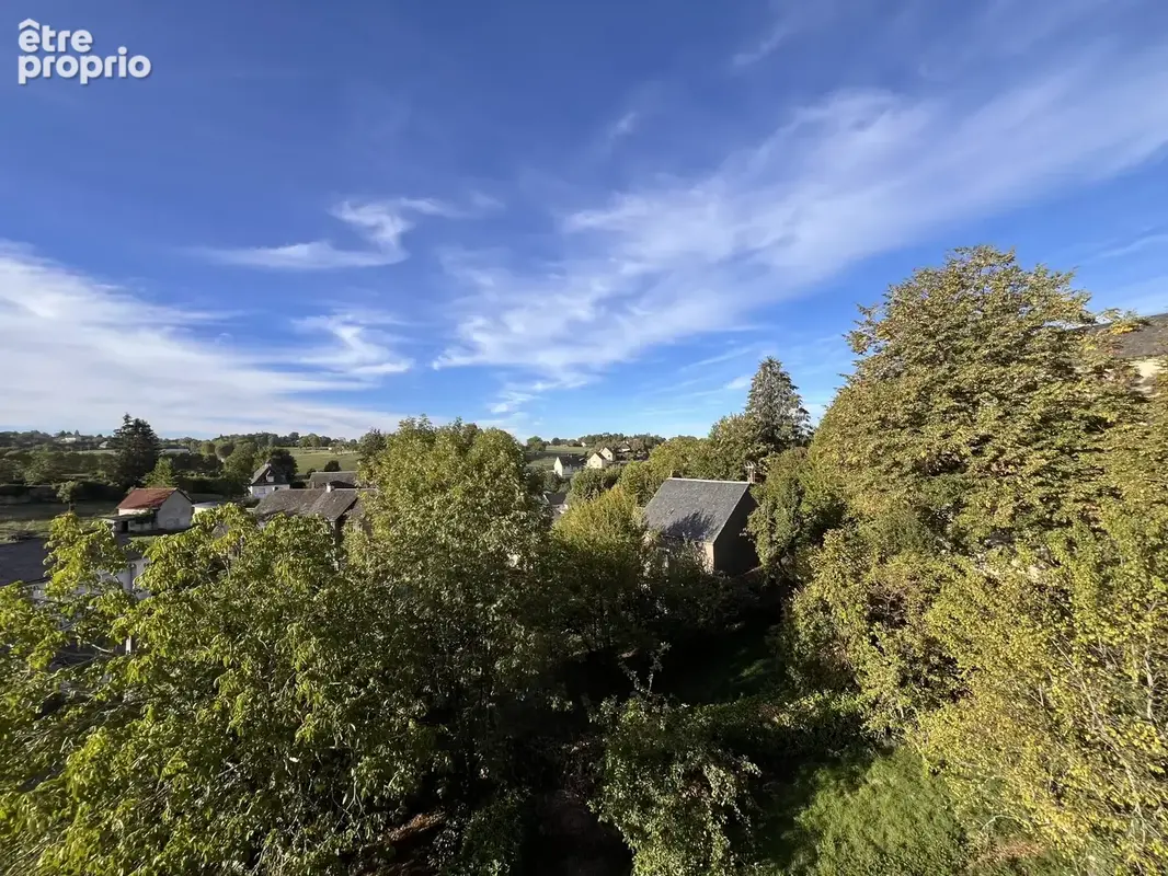 Maison 10 pièces 229 m² à vendre à Mauriac (15200) - photo 3