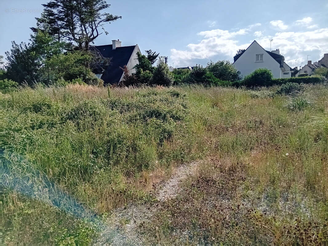 Terrain à QUIBERON
