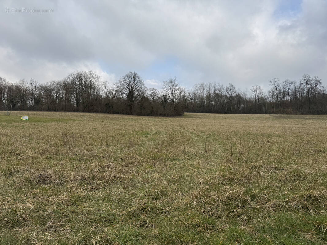 Terrain à NEUILLY-SAINT-FRONT