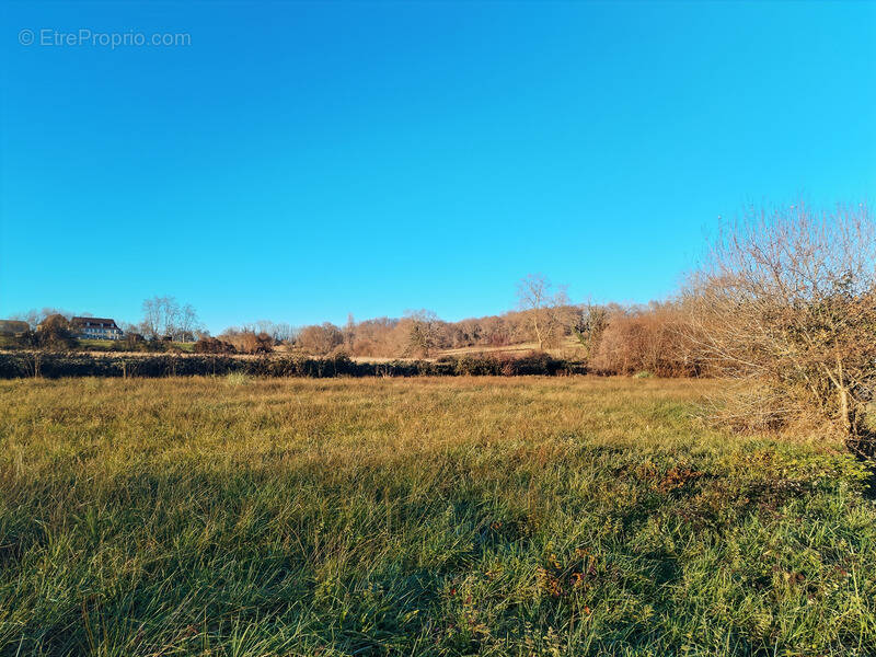 Terrain à NAVARRENX