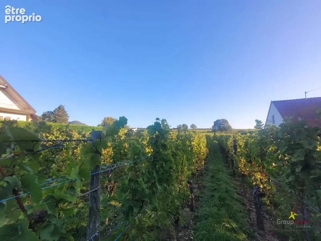 Beau terrain au coeur du vignoble - photo 4
