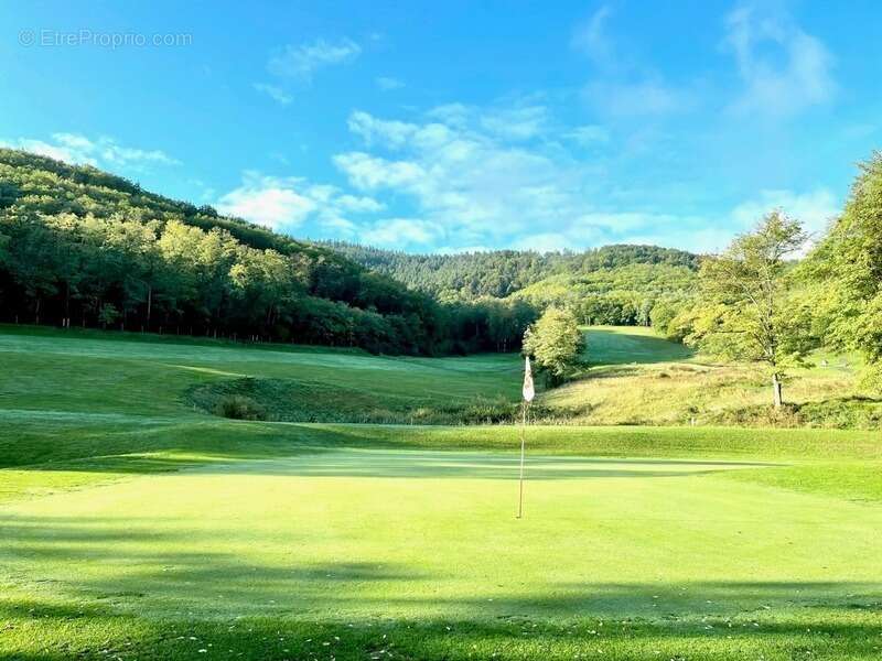 Appartement à AMMERSCHWIHR