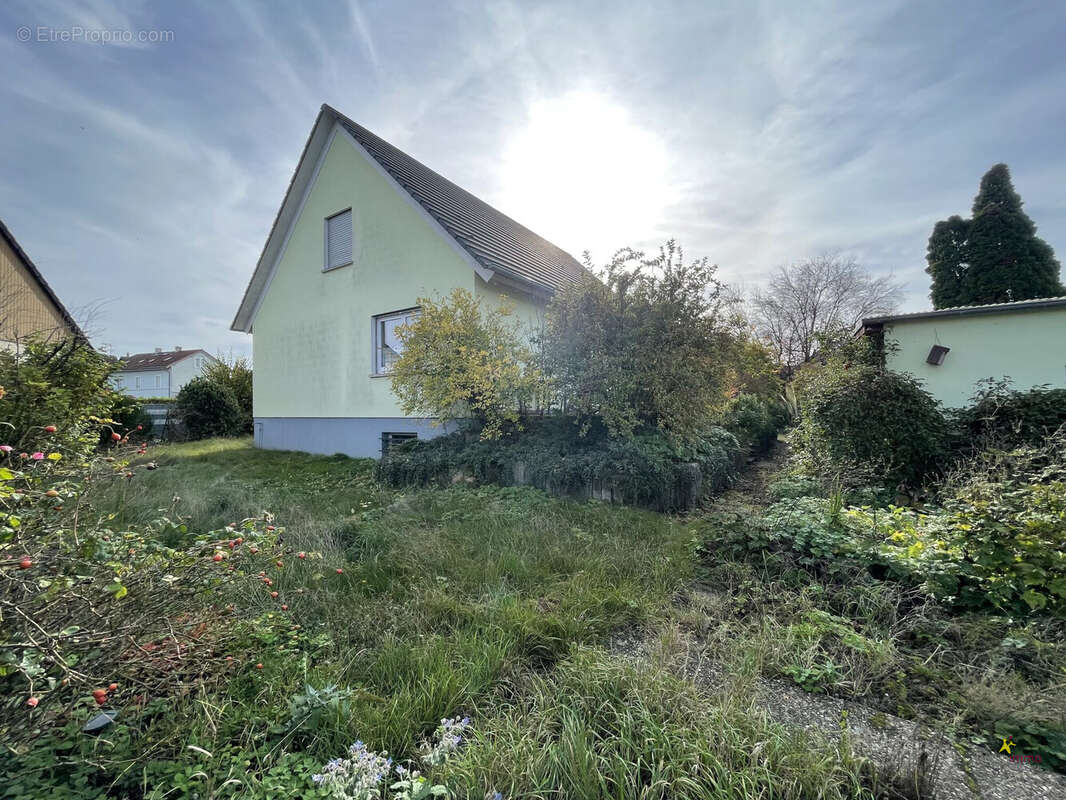 Maison à NIEDERLAUTERBACH