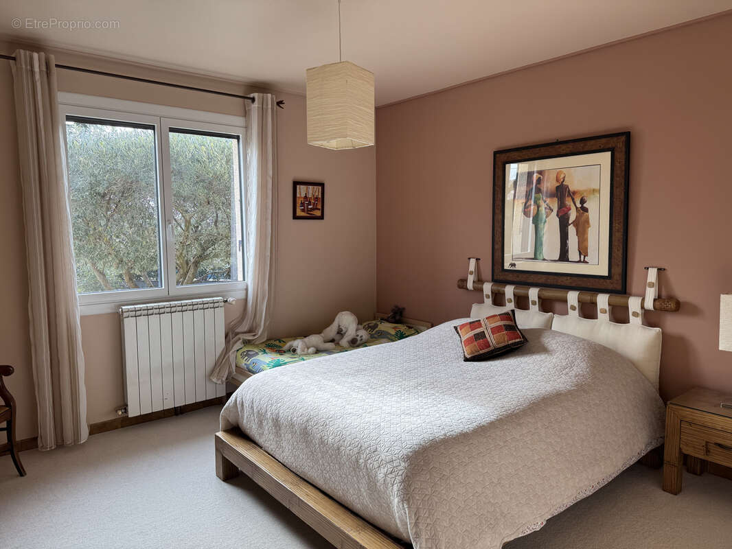 Maison à SAINT-ANDRE-DE-SANGONIS