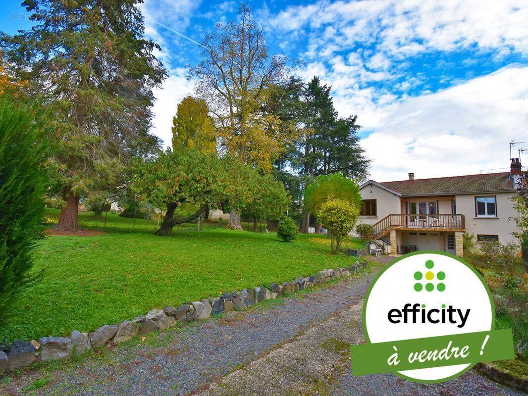 Maison à CHAZELLES-SUR-LYON