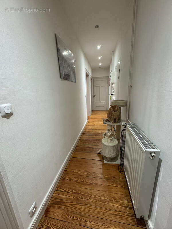 Appartement à SARREGUEMINES