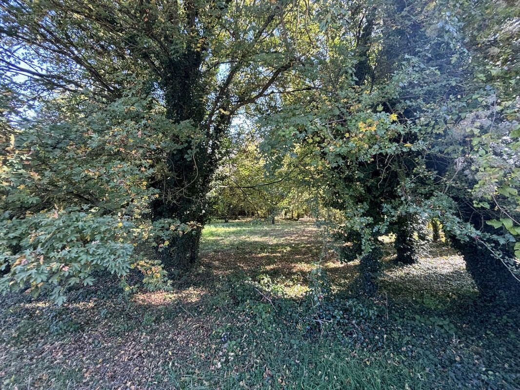 Terrain à VILLIERS-SUR-MORIN
