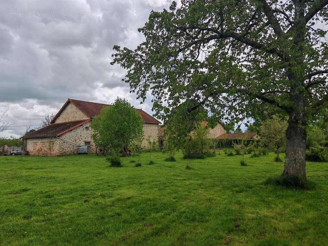 Arriere grange - Maison à LIMOGES