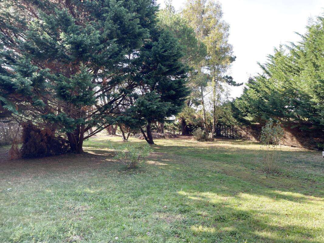 Maison à PIRIAC-SUR-MER