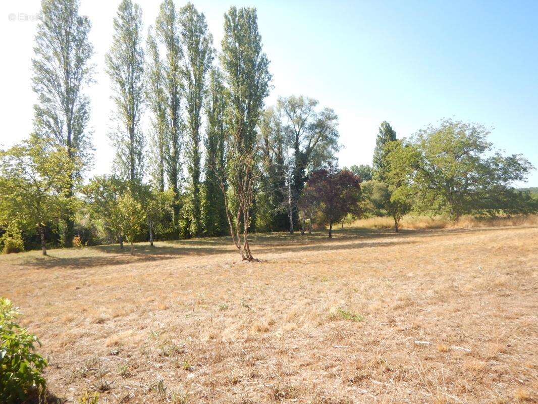 Terrain de loisir de 3 060 m² sur la commune de Cubjac-Auvezère-Val d'Ans (24) - photo 7