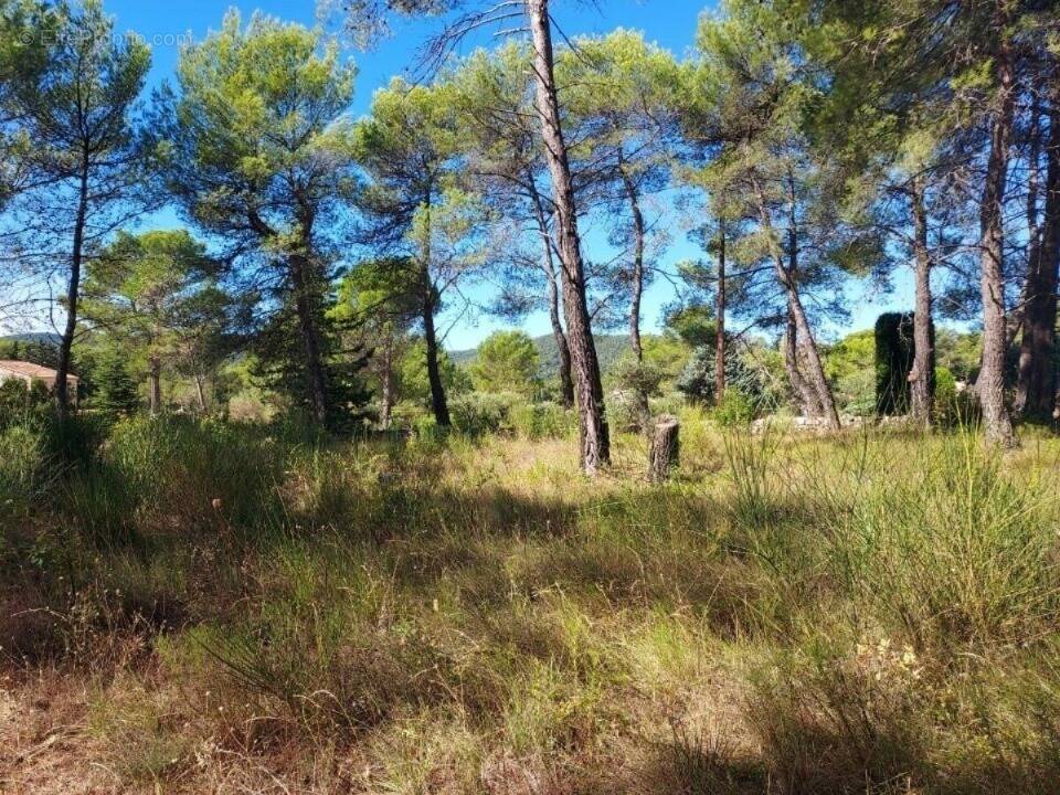 Terrain à SOLLIES-PONT