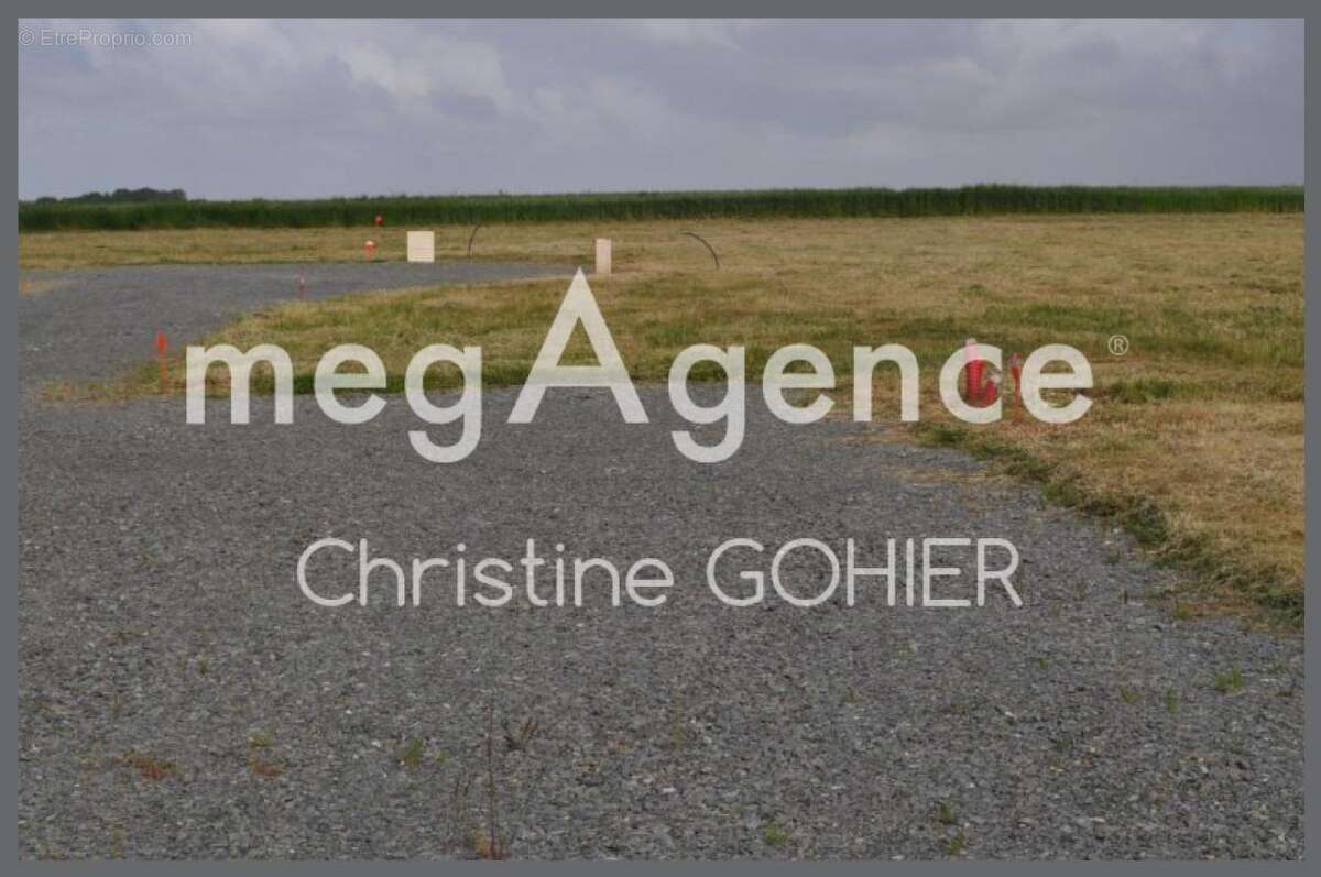 Terrain à TAILLEBOURG