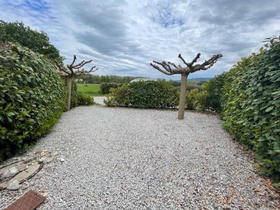 Photo 9 - Appartement à MANE