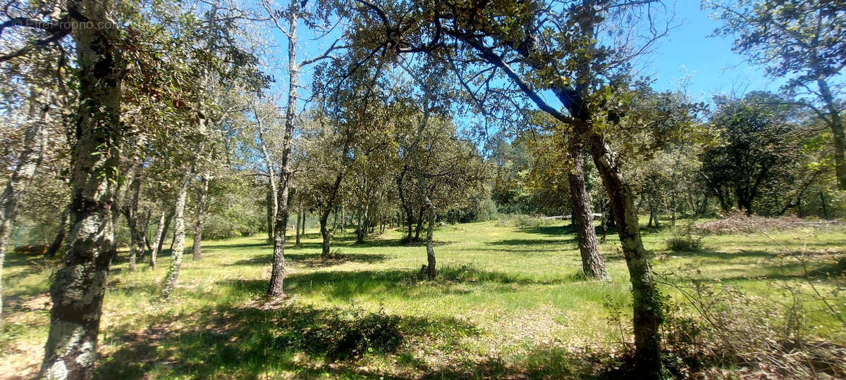 Maison à MEOUNES-LES-MONTRIEUX