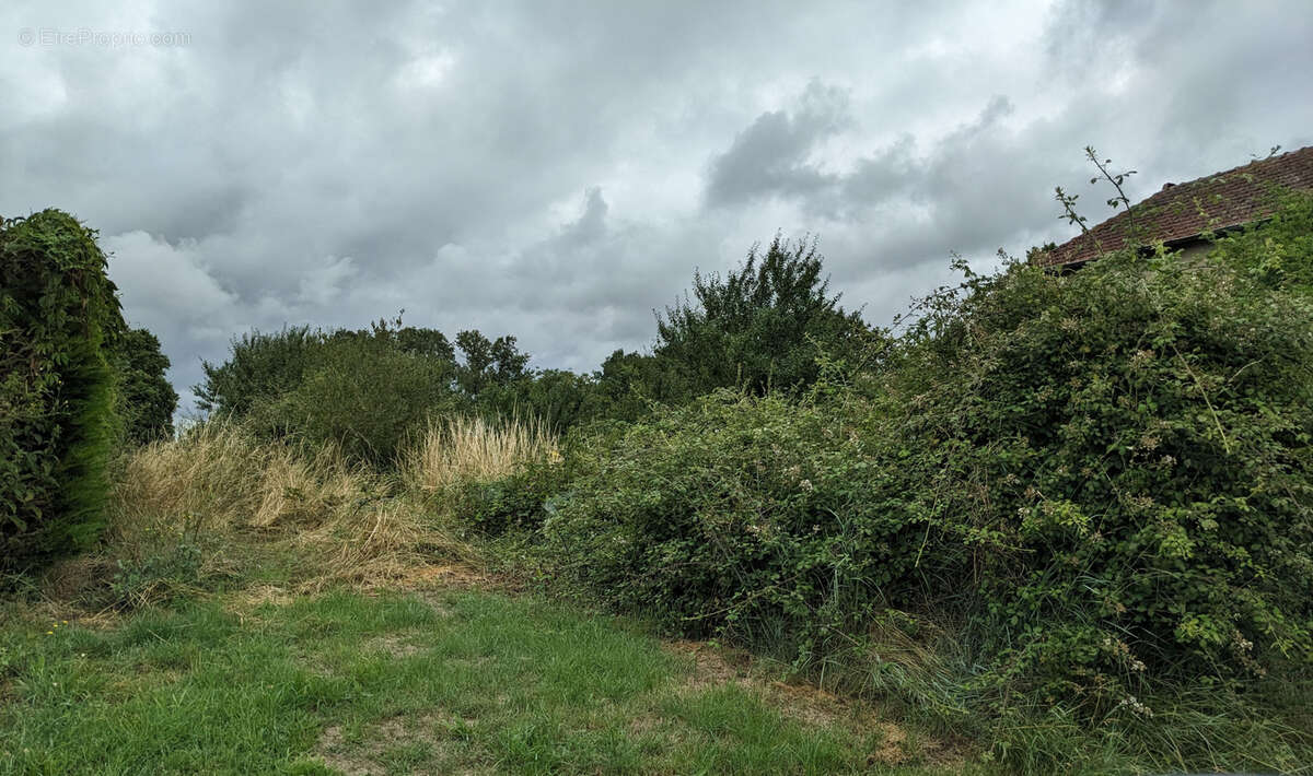 Terrain à NEUVY-SUR-LOIRE