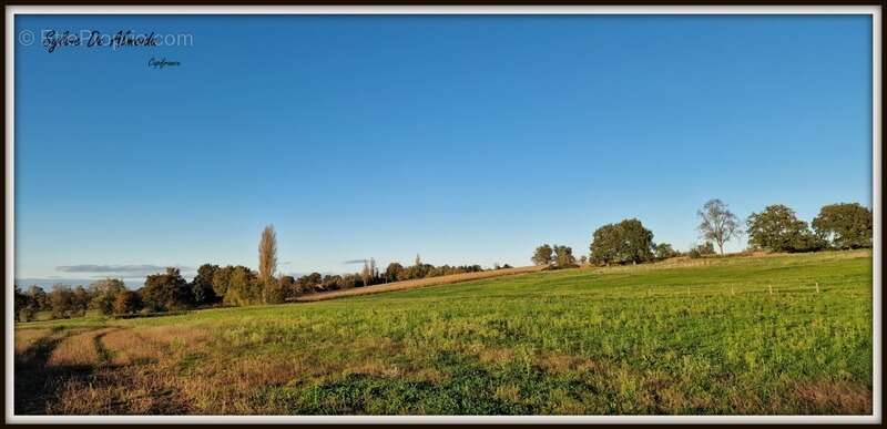 Propriété à vendre entre BIZIAT et PONT DE VEYLE (01) 16,5 Ha, vue, maison 145 m², ferme à rénover 170 m², pigeonnier, hangar, é - photo 12