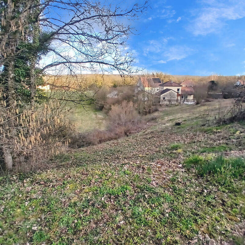 Terrain à CHARNAY
