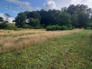 Terrain à HORSARRIEU