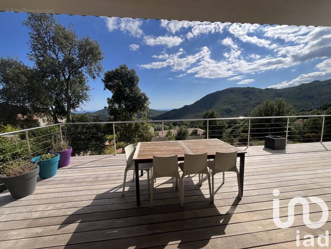 Photo 1 - Maison à ZONZA